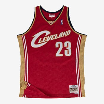 Mitchell And Ness LeBron James Cleveland Cavaliers Road 03-04 Swingman Jersey
