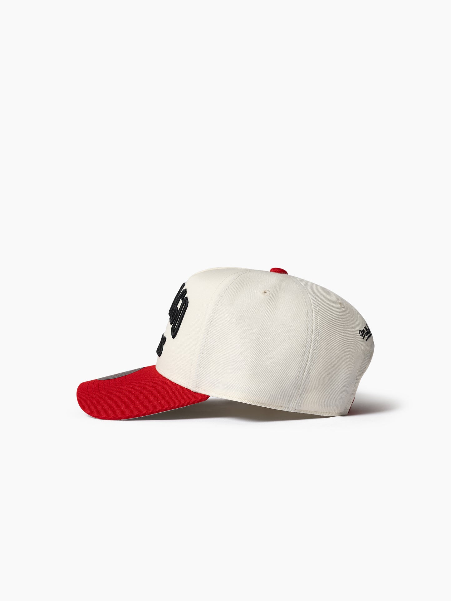 NBA Tri Logo Pro Pinch Bulls Snpback
