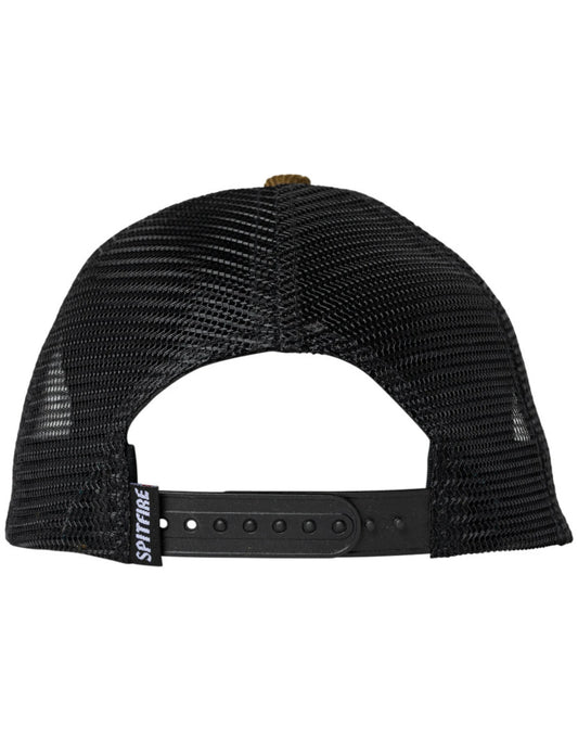 Bighead Fill Snapback - Brown/Black