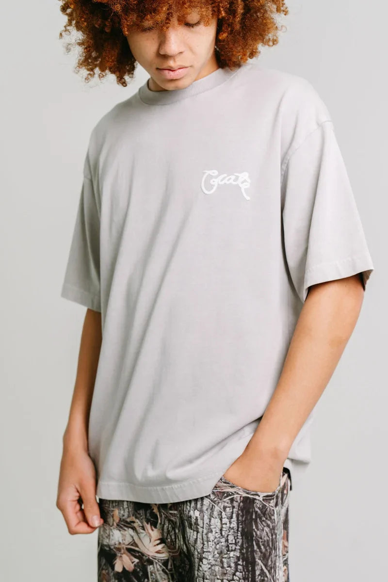 Scripted Box Fit Tee - Grey