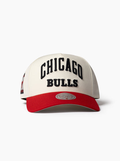 NBA Tri Logo Pro Pinch Bulls Snpback