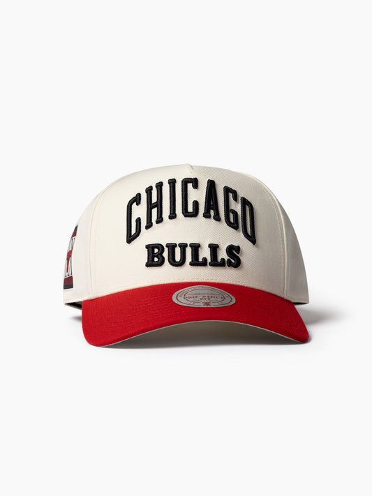 NBA Tri Logo Pro Pinch Bulls Snpback