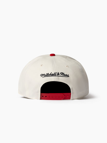 NBA Tri Logo Pro Pinch Bulls Snpback