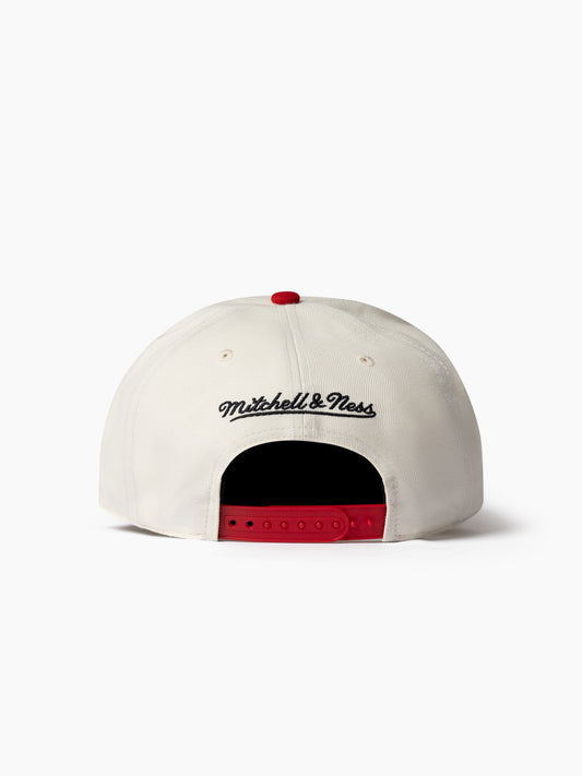 NBA Tri Logo Pro Pinch Bulls Snpback