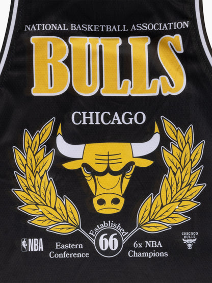 NBA Essentials Crest Mesh Tank Bulls