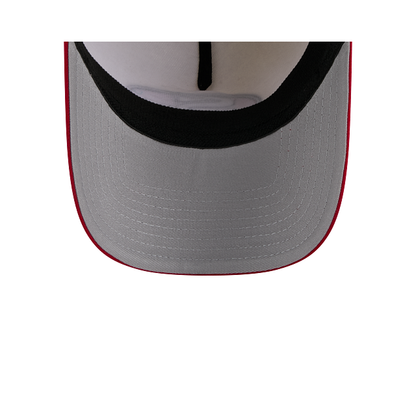 3930AF NFL HSTRC SAF49ECC CHWOTC