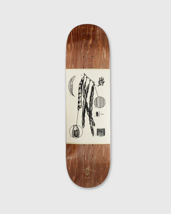 Pro Series Callum Acacia Deck - 8.5"